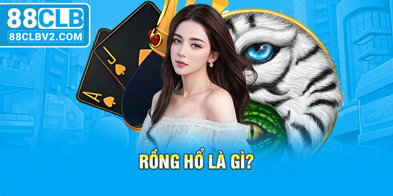 Rồng hổ là gì?